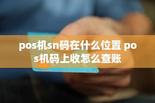 pos机sn码在什么位置 pos机码上收怎么查账