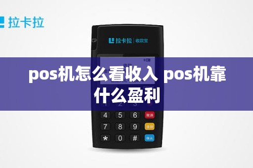 pos机怎么看收入 pos机靠什么盈利 pos机怎么看收入 pos机靠什么盈利