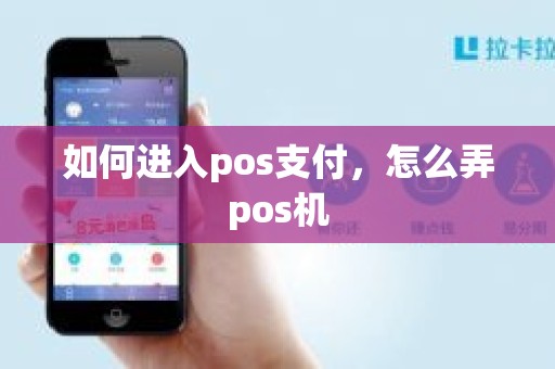 如何进入pos支付，怎么弄pos机