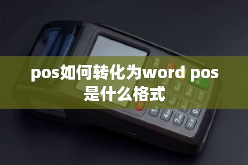 pos如何转化为word pos是什么格式