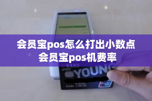 会员宝pos怎么打出小数点 会员宝pos机费率
