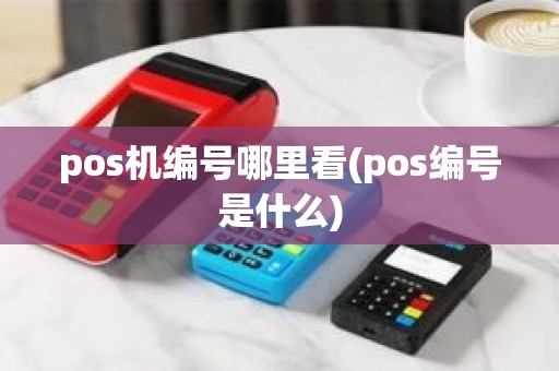 pos机编号哪里看(pos编号是什么)