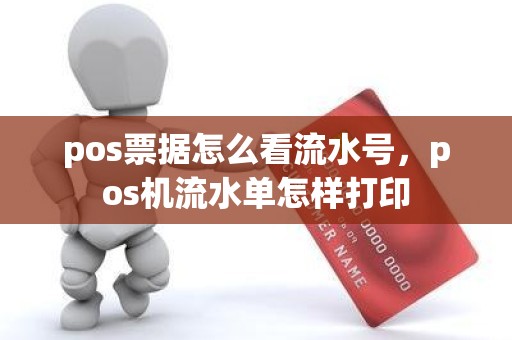 pos票据怎么看流水号，pos机流水单怎样打印