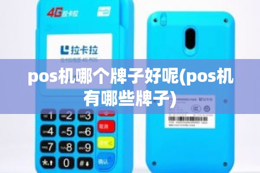 pos机哪个牌子好呢(pos机有哪些牌子)