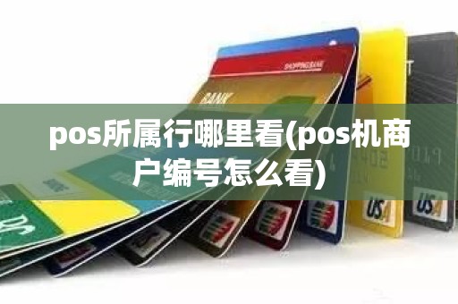 pos所属行哪里看(pos机商户编号怎么看)