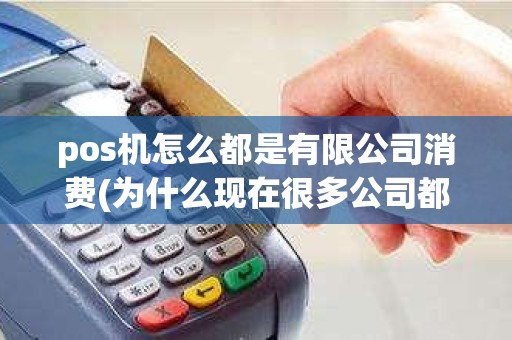 pos机怎么都是有限公司消费(为什么现在很多公司都卖pos机)