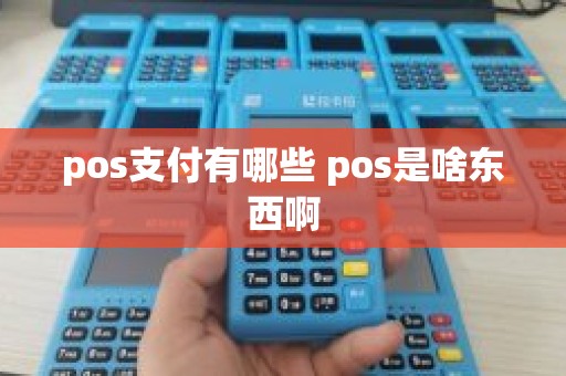 pos支付有哪些 pos是啥东西啊
