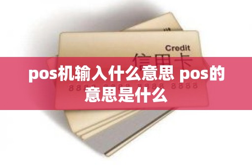pos机输入什么意思 pos的意思是什么