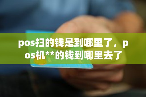 pos扫的钱是到哪里了，pos机**的钱到哪里去了