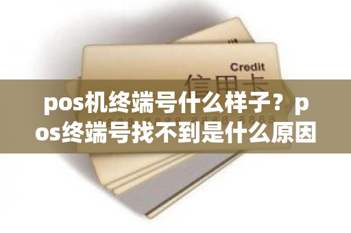 pos机终端号什么样子？pos终端号找不到是什么原因
