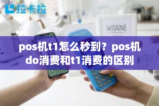 pos机t1怎么秒到？pos机do消费和t1消费的区别