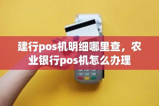 建行pos机明细哪里查，农业银行pos机怎么办理