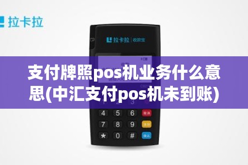 支付牌照pos机业务什么意思(中汇支付pos机未到账)