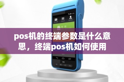 pos机的终端参数是什么意思，终端pos机如何使用