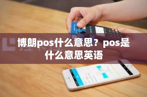 博朗pos什么意思？pos是什么意思英语