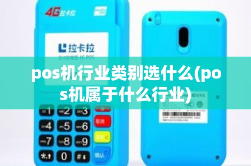 pos机行业类别选什么(pos机属于什么行业)