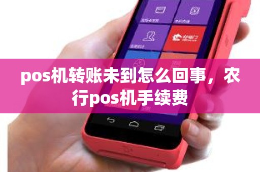 pos机转账未到怎么回事，农行pos机手续费