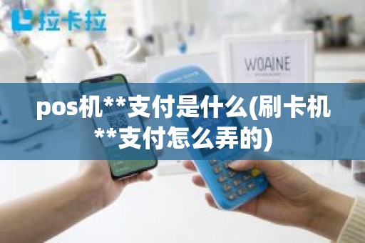 pos机**支付是什么(刷卡机**支付怎么弄的)