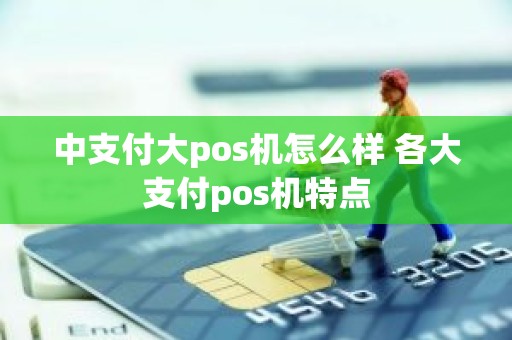中支付大pos机怎么样 各大支付pos机特点
