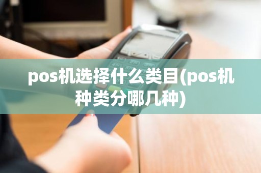 pos机选择什么类目(pos机种类分哪几种)