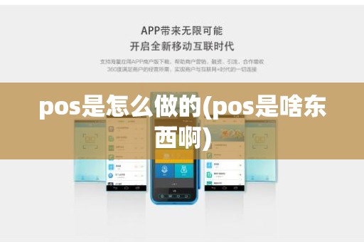 pos是怎么做的(pos是啥东西啊)