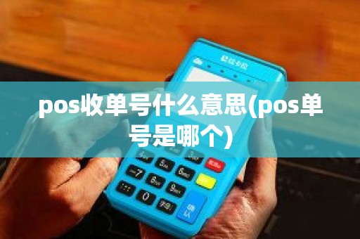 pos收单号什么意思(pos单号是哪个)