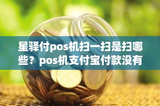 星驿付pos机扫一扫是扫哪些？pos机支付宝付款没有小票