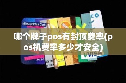 哪个牌子pos有封顶费率(pos机费率多少才安全)