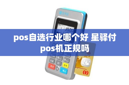 pos自选行业哪个好 星驿付pos机正规吗