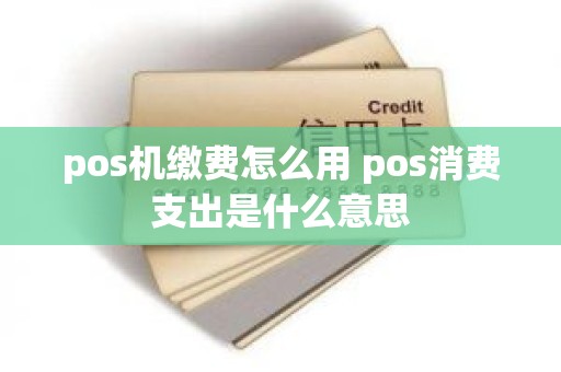 pos机缴费怎么用 pos消费支出是什么意思