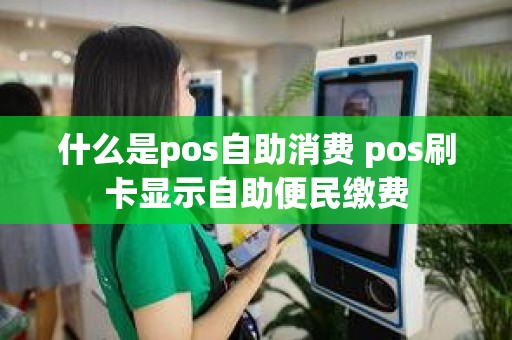什么是pos自助消费 pos刷卡显示自助便民缴费