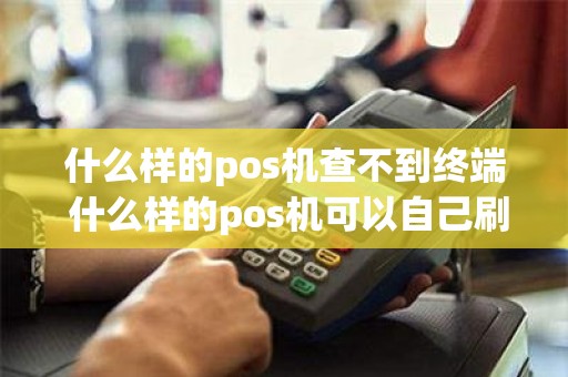 什么样的pos机查不到终端 什么样的pos机可以自己刷自己