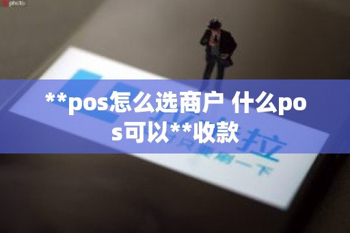 **pos怎么选商户 什么pos可以**收款
