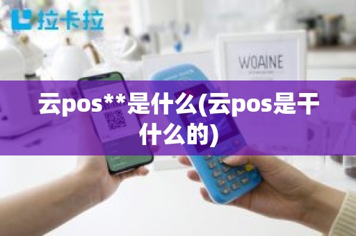 云pos**是什么(云pos是干什么的)