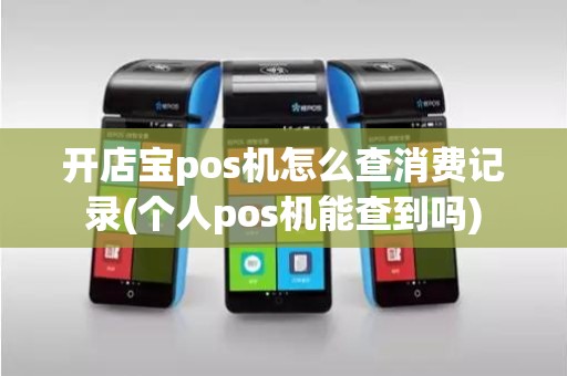 开店宝pos机怎么查消费记录(个人pos机能查到吗)