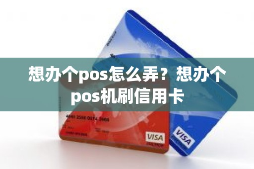 想办个pos怎么弄？想办个pos机刷信用卡