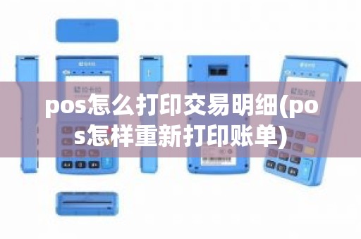 pos怎么打印交易明细(pos怎样重新打印账单)