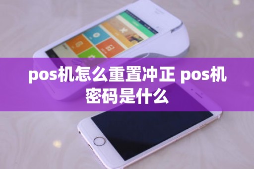 pos机怎么重置冲正 pos机密码是什么