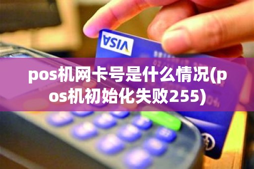 pos机网卡号是什么情况(pos机初始化失败255)
