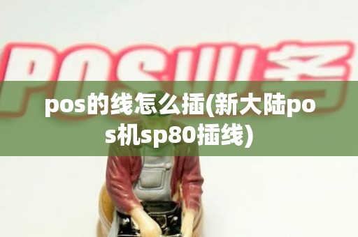 pos的线怎么插(新大陆pos机sp80插线)