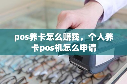 pos养卡怎么赚钱，个人养卡pos机怎么申请