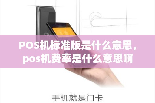 POS机标准版是什么意思，pos机费率是什么意思啊