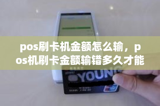 pos刷卡机金额怎么输，pos机刷卡金额输错多久才能发现