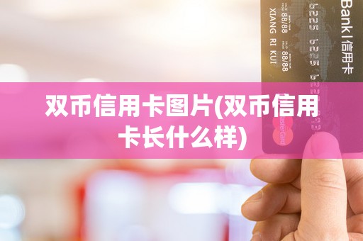 双币信用卡图片(双币信用卡长什么样)