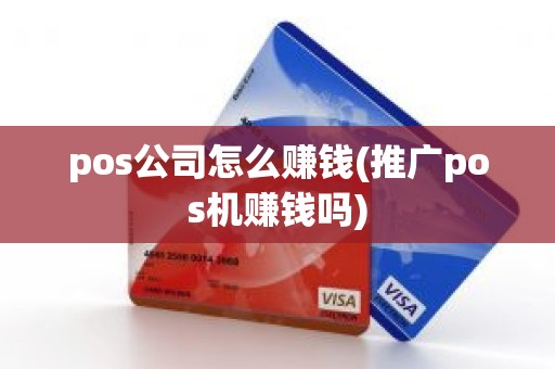 pos公司怎么赚钱(推广pos机赚钱吗)