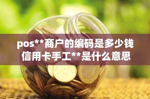 pos**商户的编码是多少钱 信用卡手工**是什么意思