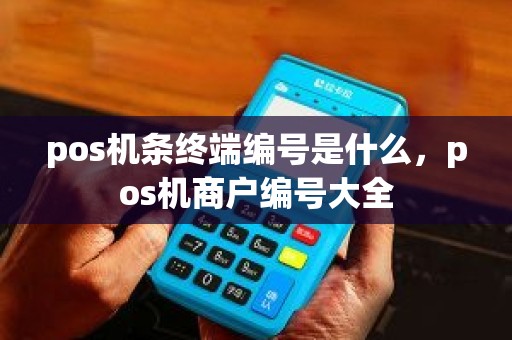 pos机条终端编号是什么，pos机商户编号大全