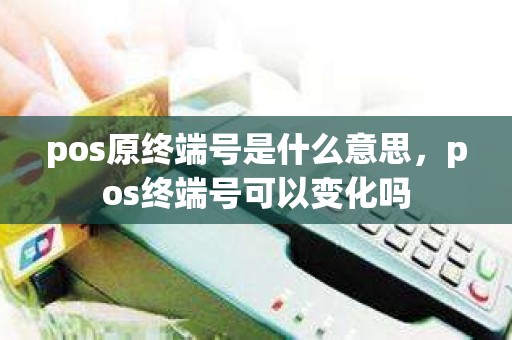 pos原终端号是什么意思，pos终端号可以变化吗