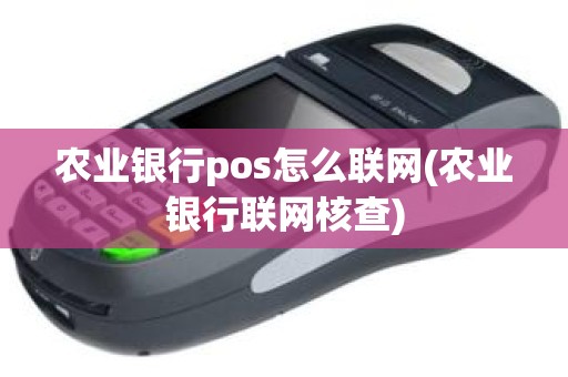 农业银行pos怎么联网(农业银行联网核查)