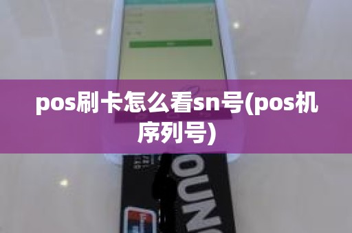pos刷卡怎么看sn号(pos机序列号)